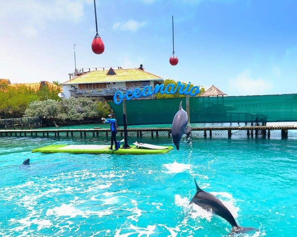 tour al Oceanario Islas del Rosario